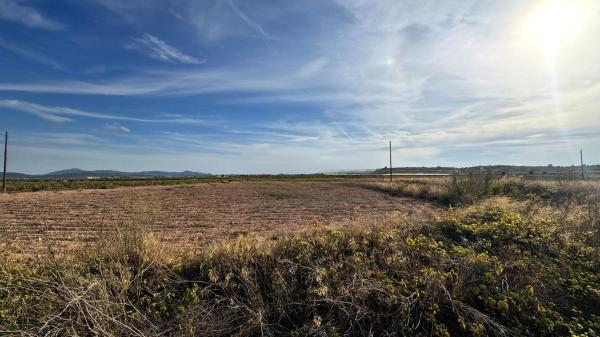 Terreno en Pinoso photo 3