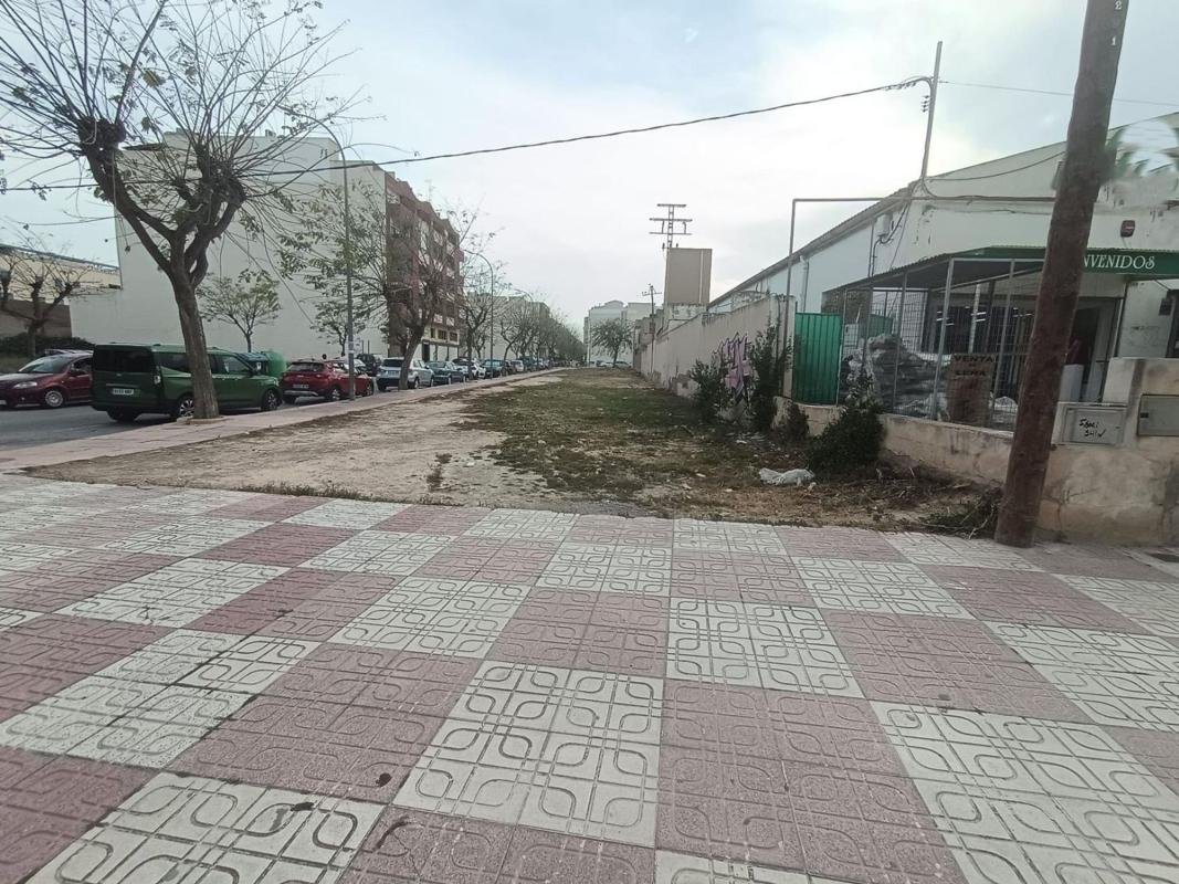 Działka na sprzedaż w Albatera, Alicante photo 3