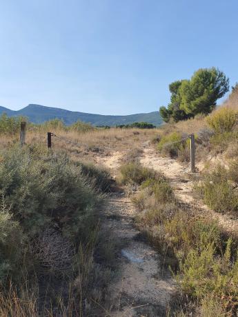 Terreno en Castalla s/n, Castalla photo 1