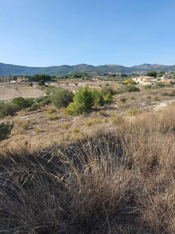Działka na sprzedaż w Castalla, Alicante photo 2