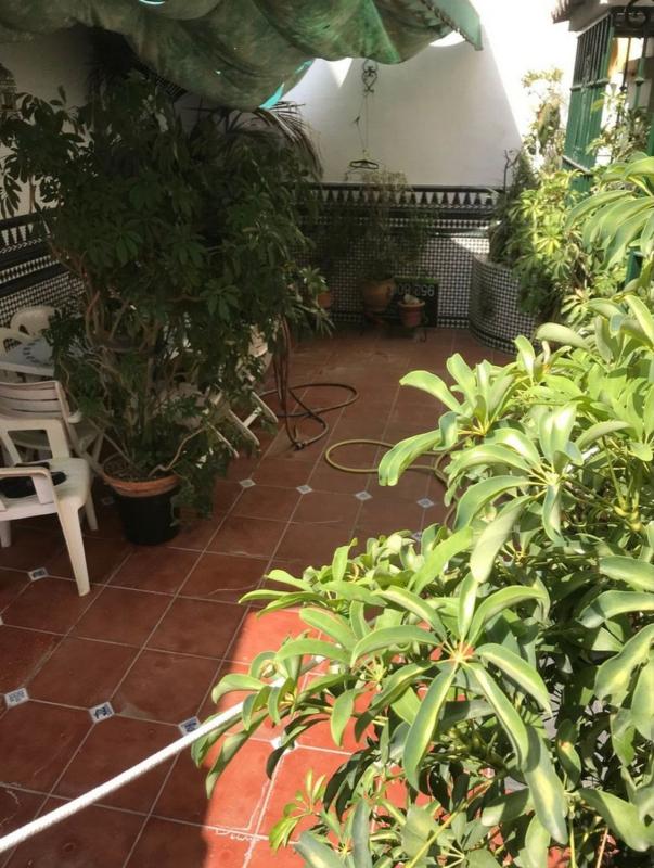 Sprzedaż niezależnego domku jednorodzinnego w Chalet pareado en Los Álamos, Torremolinos, Torremolinos photo 4