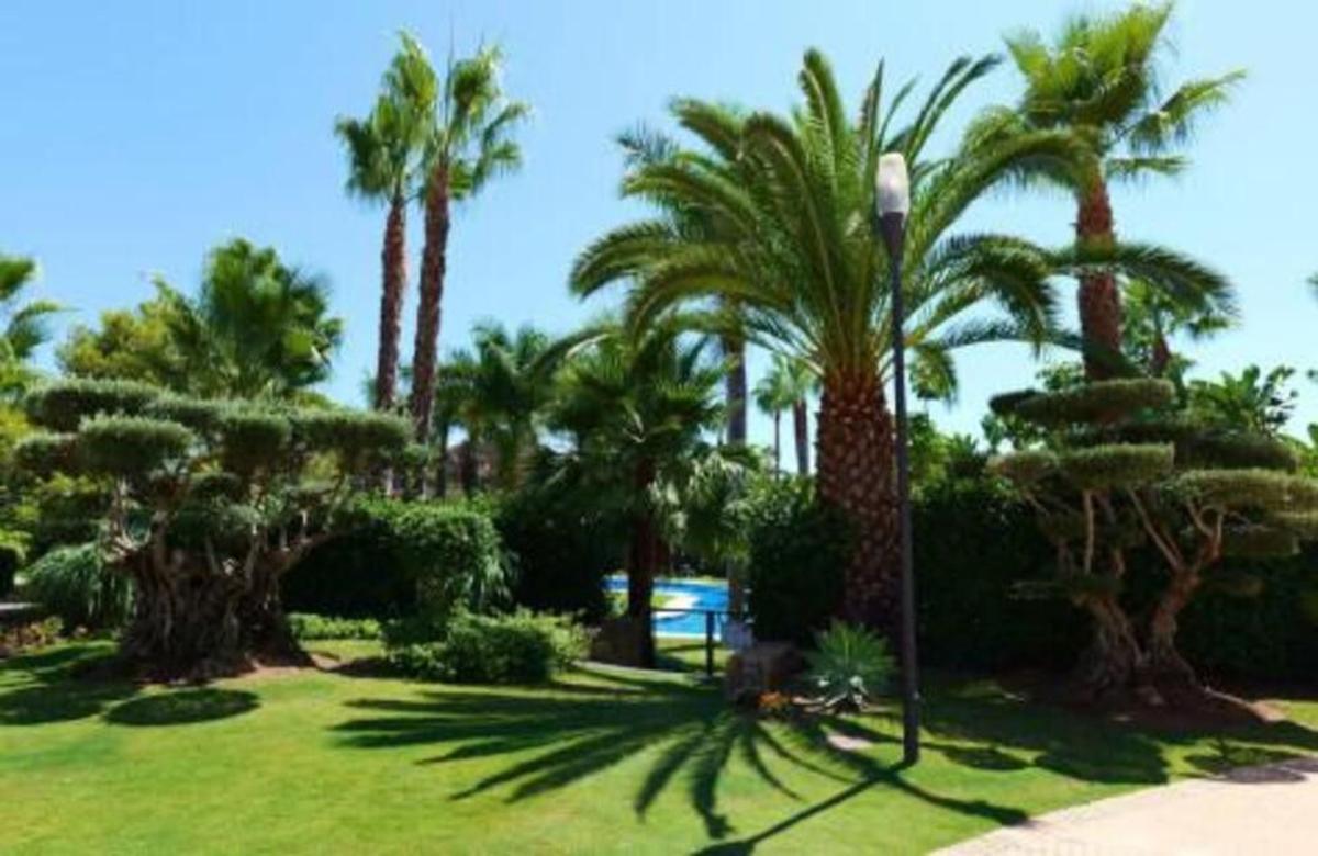 Venta de piso en Piso en las Golondrinas, Puerto Banús, Marbella, Marbella
 photo 5
