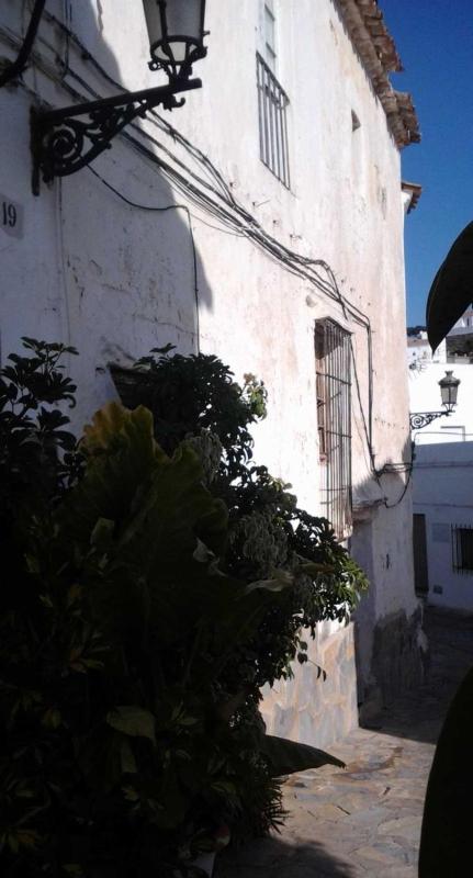 Sale of rural property in Finca rústica en Casares, Casares , Casares photo 5