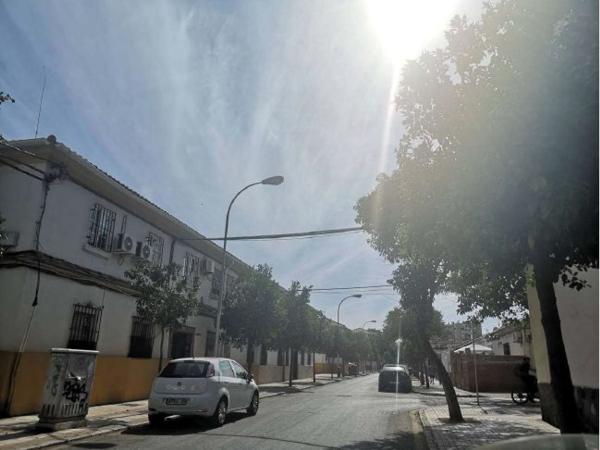 Sale of flat in Piso en Calle Virgen del Rocío, Carranque - Haza Cuevas, Málaga, Málaga
thumbnail 2