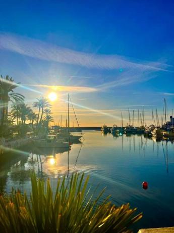Venta de piso en Piso en Urbanización Puerto de la Duquesa, 1, Puerto de la Duquesa, Manilva, Manilva
thumbnail 2