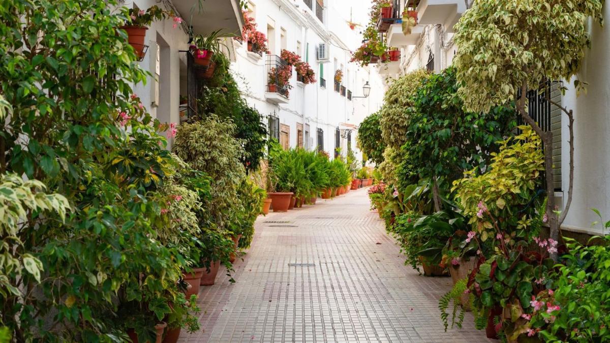Sprzedaż szeregowego domku w Chalet adosado en Casco Antiguo, Marbella , Marbella photo 2