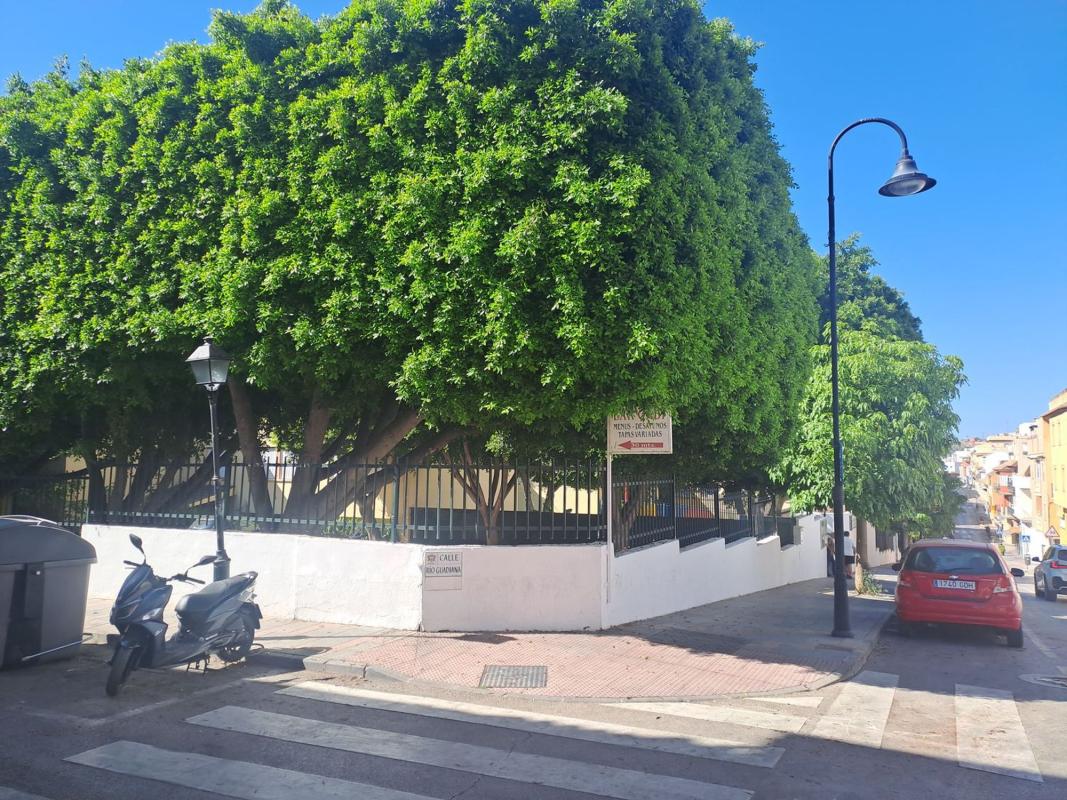 Venta de piso en Piso en Avenida de los Lirios, Las Flores, Mijas, Mijas
 photo 3