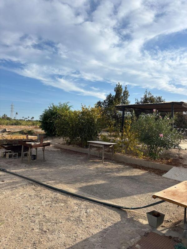 Sprzedaż działki rolnej w  Finca rústica en Torrellano, Elche / Elx , Elche / Elx photo 5