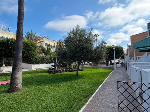 Chalet independiente en venta en Casa o chalet independiente en Torreblanca, Torrevieja, Torrevieja
 photo 4