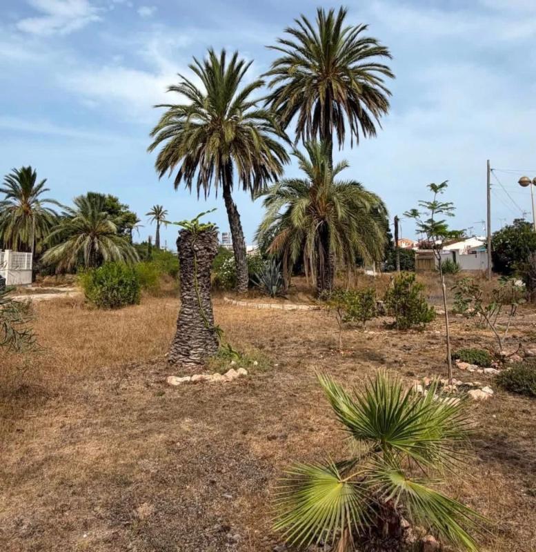 Sprzedaż szeregowego domku w  La Siesta - El Salado - Torreta , Torrevieja photo 4