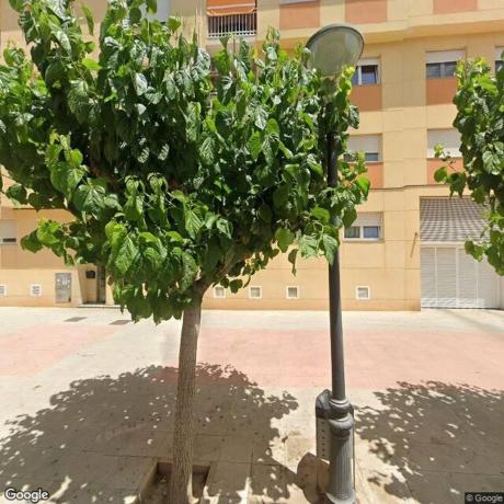 Venta de piso en Piso en Calle Virgen de los Desamparados, Ibi, Ibi
 photo 4