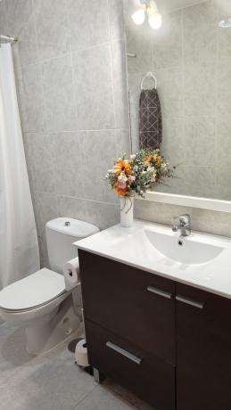 Venta de piso en Haygon - Universidad, San Vicente del Raspeig
 photo 2