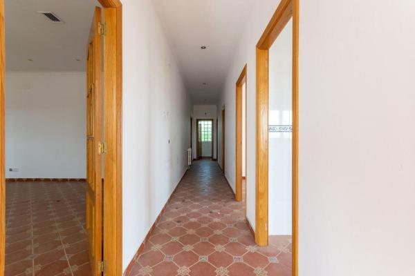 Casa o chalet independiente en Urbanización Limoneros, El Altet - Balsares, Elche / Elx photo 4