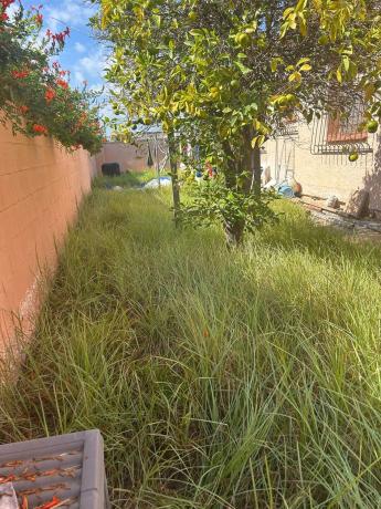 Casa o chalet independiente en Calle Salinas Bal, 1, Los Balcones - Los Altos del Edén, Torrevieja photo 4