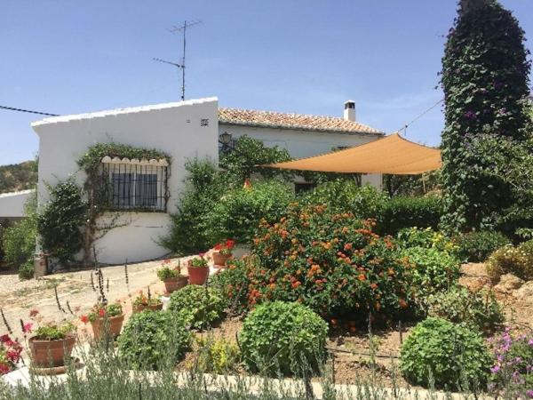 Cortijo en Diseminado Poligono 72, Las Lagunillas, Antequera photo 2