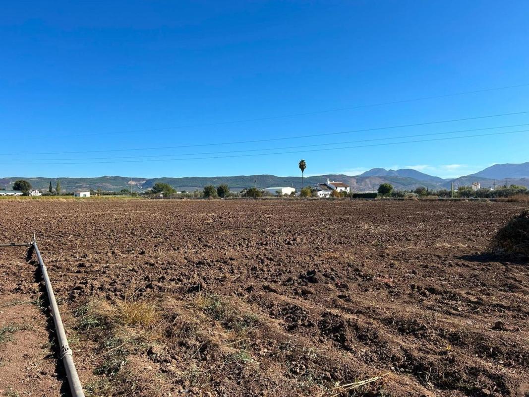 Venta de finca rústica en Finca rústica en Zona de la Vega, Antequera , Antequera photo 2