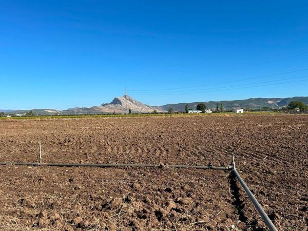 Finca rústica en venta en  Finca rústica en Zona de la Vega, Antequera , Antequera photo 3