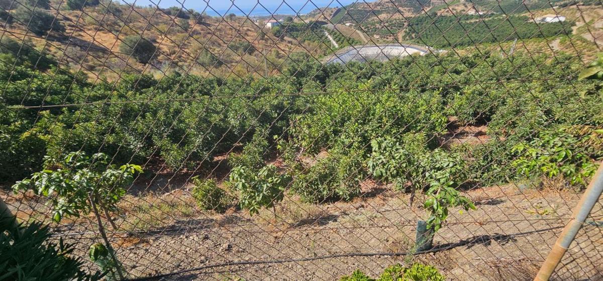Propiedades en venta y alquiler en España photo 5
