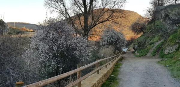 Casa rural en Ma-414 s/n, Cuevas del Becerro photo 4