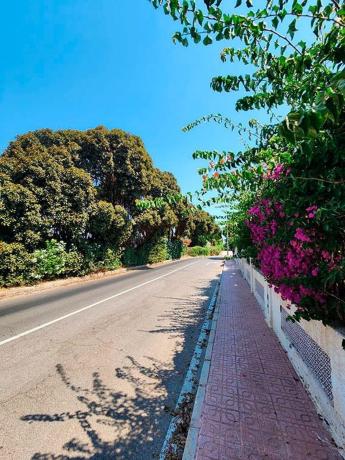 Chalet adosado en Calle Maladeta, Los Balcones - Los Altos del Edén, Torrevieja thumbnail 2