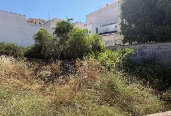 Terreno en Playa de los Locos, Torrevieja photo 3