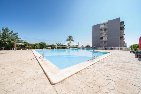 Sale of flat in Piso en Punta Prima, Torrevieja, Torrevieja
photo 1