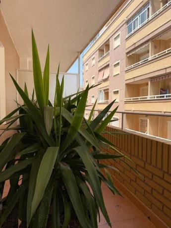 Venta de piso en Piso en Playa del Cura, Torrevieja, Torrevieja
photo 1