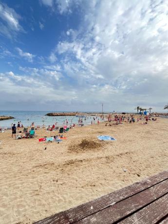 Venta de piso en Piso en Calle la Loma, 70, Avenida Habaneras - Curva de Palangre, Torrevieja, Torrevieja
thumbnail 3
