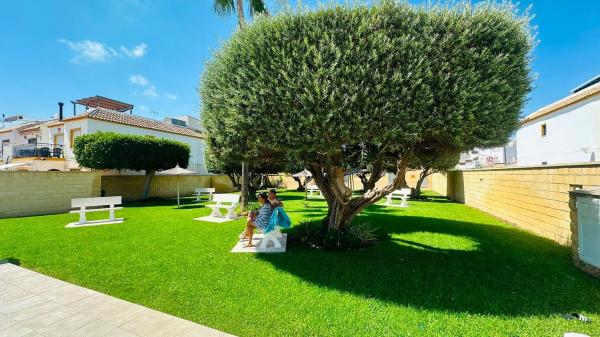 Chalet adosado en venta en Chalet adosado en Calle Carmen, 155, La Siesta - El Salado - Torreta, Torrevieja , Torrevieja photo 1
