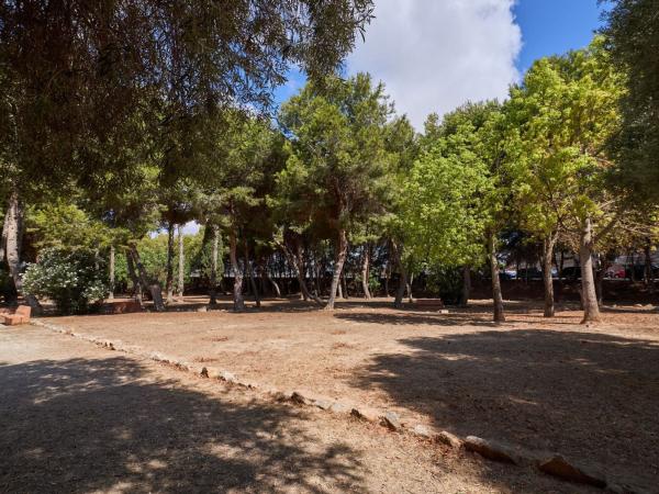 Venta de piso en Piso en El Acequión, Torrevieja, Torrevieja
 photo 4