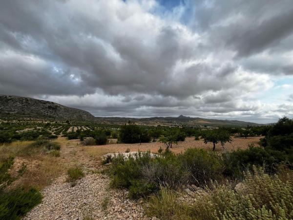 Terreno en Pedanía de orihuela barbarroja, La Murada-Los Vicentes, Orihuela thumbnail 1