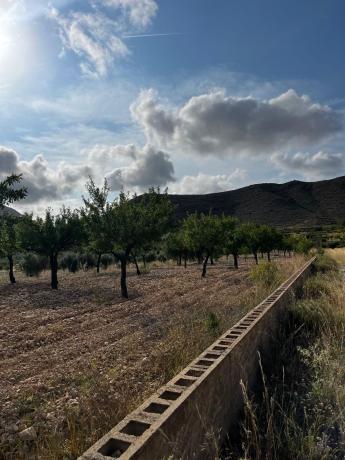 Terreno en Pedanía de orihuela barbarroja, La Murada-Los Vicentes, Orihuela thumbnail 2