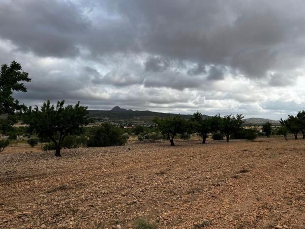Terreno en Pedanía de orihuela barbarroja, La Murada-Los Vicentes, Orihuela photo 4