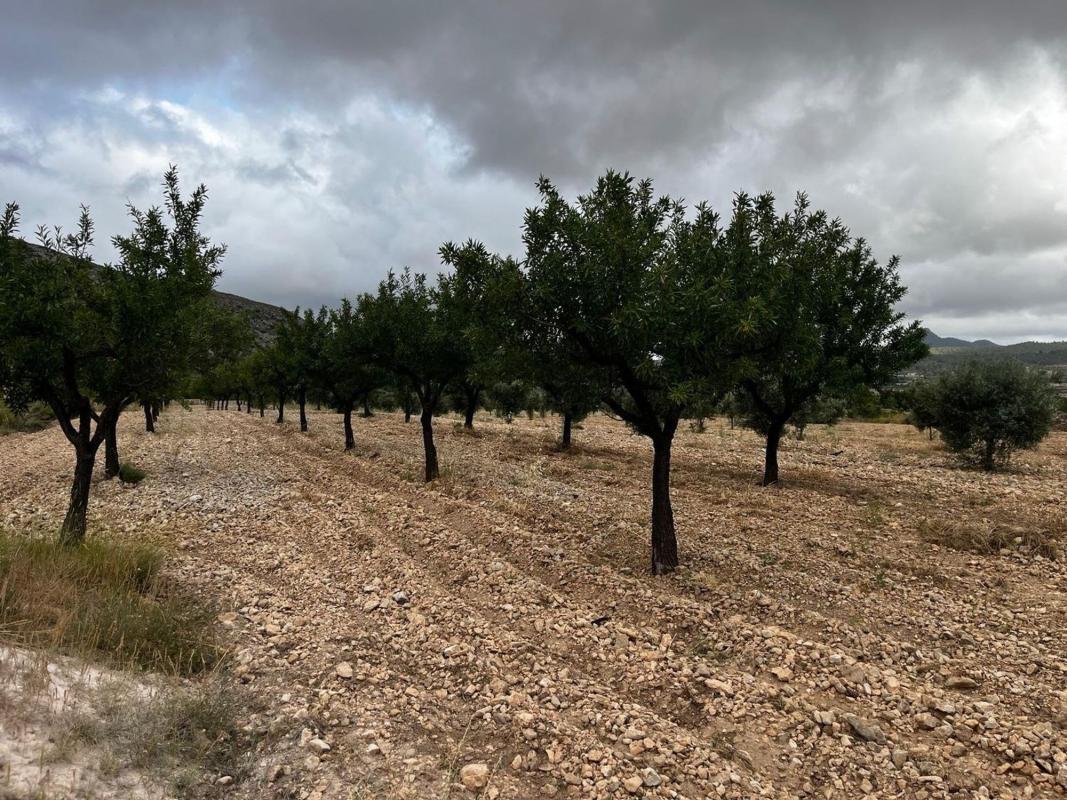 Land for sale in Orihuela, Alicante photo 5