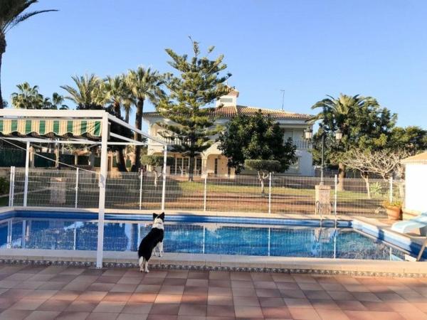 Casa o chalet independiente en Calle Gregal, Cabo Roig, Orihuela thumbnail 1