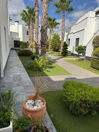 Chalet pareado en Calle Cabo de la Nao, 27, Lomas de Cabo Roig, Orihuela photo 2