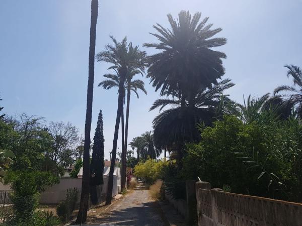 Terreno en Vereda el Palmeral, 14, Orihuela Ciudad, Orihuela photo 1