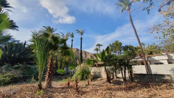 Terreno en Vereda el Palmeral, 14, Orihuela Ciudad, Orihuela thumbnail 2