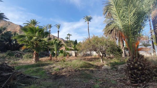 Terreno en Vereda el Palmeral, 14, Orihuela Ciudad, Orihuela photo 4