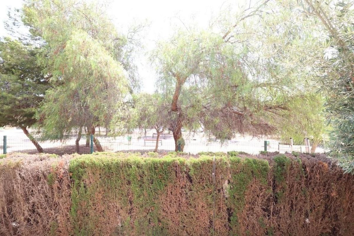 Sale of apartment in Piso en Plaza R-2 los Pinos, Zeniamar, Orihuela, Orihuela
photo 3