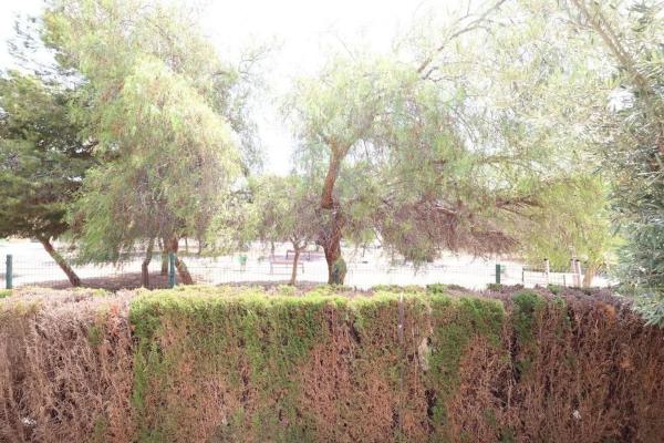 Sale of flat in Piso en Plaza R-2 los Pinos, Zeniamar, Orihuela, Orihuela
 photo 3