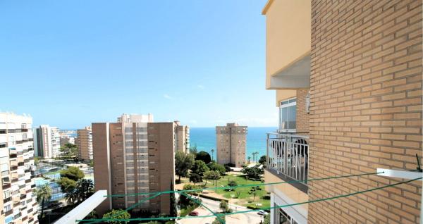 Estudio en venta en Estudio en Calle Gabriel y Galán, Campoamor, Orihuela, Orihuela photo 1