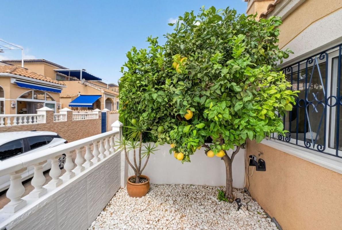 Venta de chalet adosado en Chalet adosado en Calle Trepadora s/n, Los Balcones y los Altos, Orihuela , Orihuela photo 4
