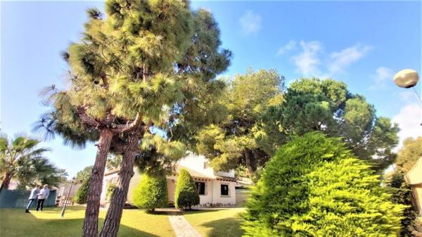 Casa o chalet independiente en Punta Prima, Torrevieja photo 3