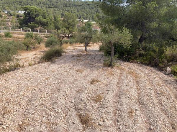 Terreno en Lugar IV Pd 2, km 4, Castalla photo 4
