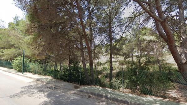Terreno en Calle Albaricoquero, 1 -6, Pinar de Campoverde, Pilar de la Horadada photo 1