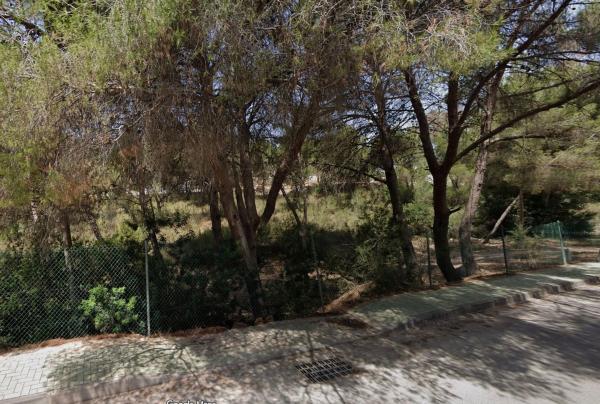 Terreno en Calle Albaricoquero, 1 -6, Pinar de Campoverde, Pilar de la Horadada photo 2