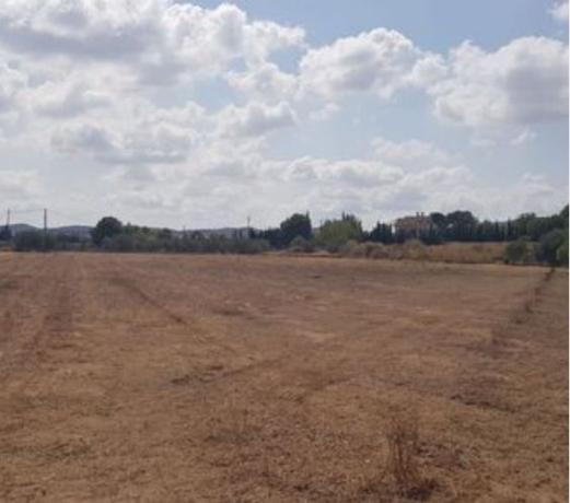 Terreno en Camino Duque, 28, Pedanías Oeste, Aspe photo 1