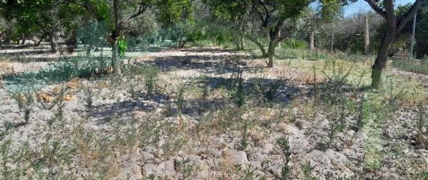 Terreno en Partida la Ermita, El Secanet - Hacienda del Sol, La Villajoyosa / Vila Joiosa photo 1