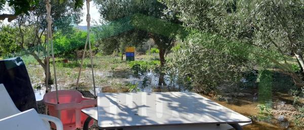 Terreno en Partida la Ermita, El Secanet - Hacienda del Sol, La Villajoyosa / Vila Joiosa thumbnail 1